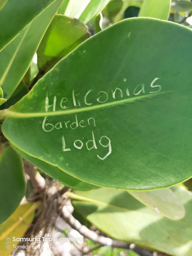 Drakes Bay Garden Of Heliconias Lodge المظهر الخارجي الصورة